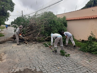Após fortes chuvas desta quinta, Seinfra, Mendel e Departamento de Parques e Jardins realizam intervenções por toda a cidade