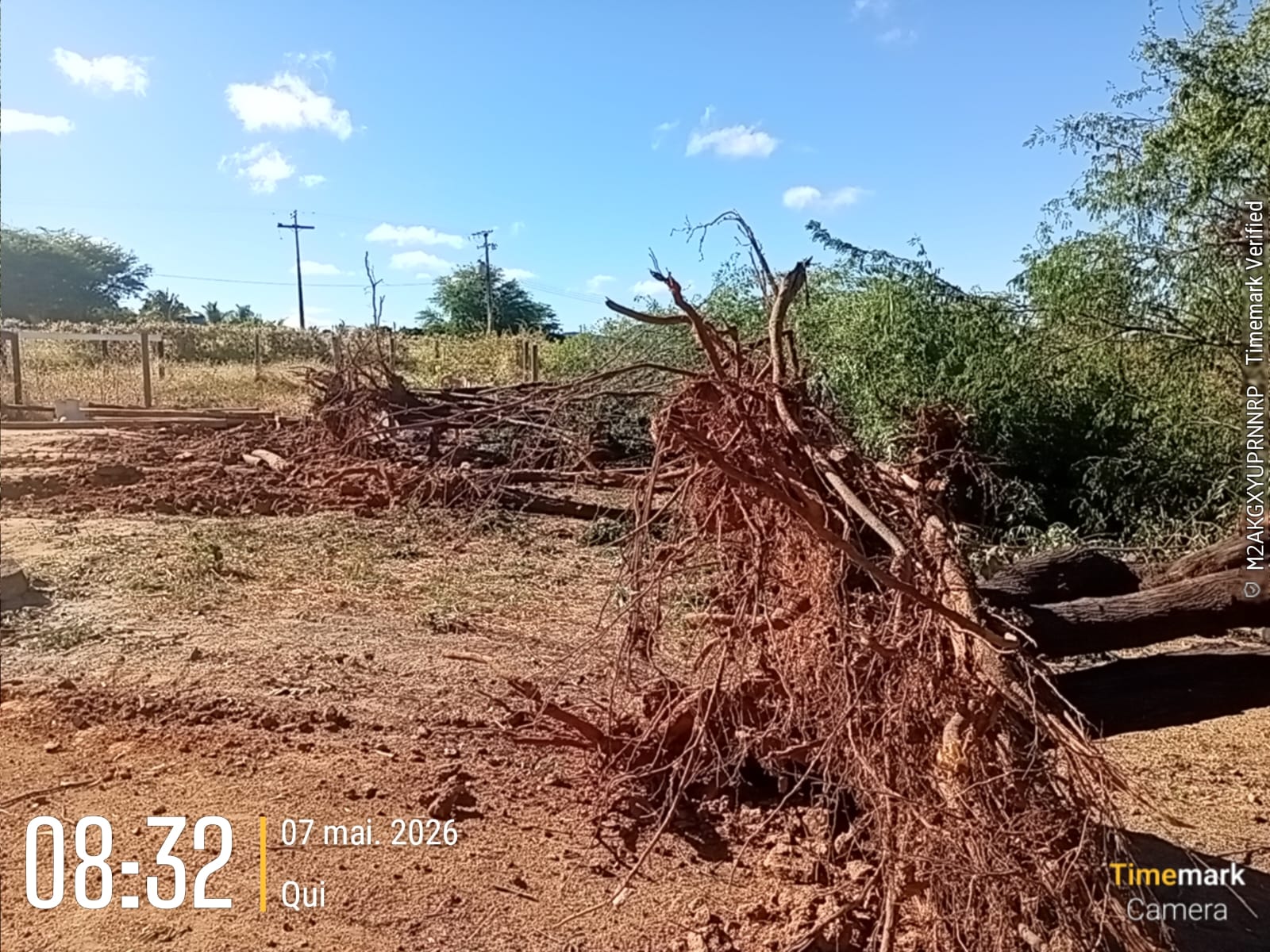 Secretaria de Meio Ambiente de Guanambi apura desmatamento nas margens da Barragem Poço do Magro