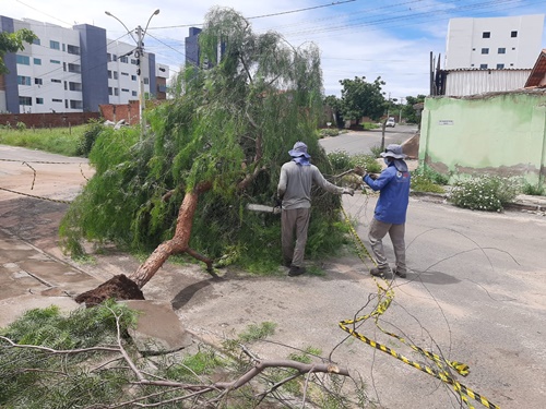 Com terceiro dia seguido de fortes chuvas na semana, equipes da Seinfra Guanambi seguem com ações emergenciais por toda cidade
