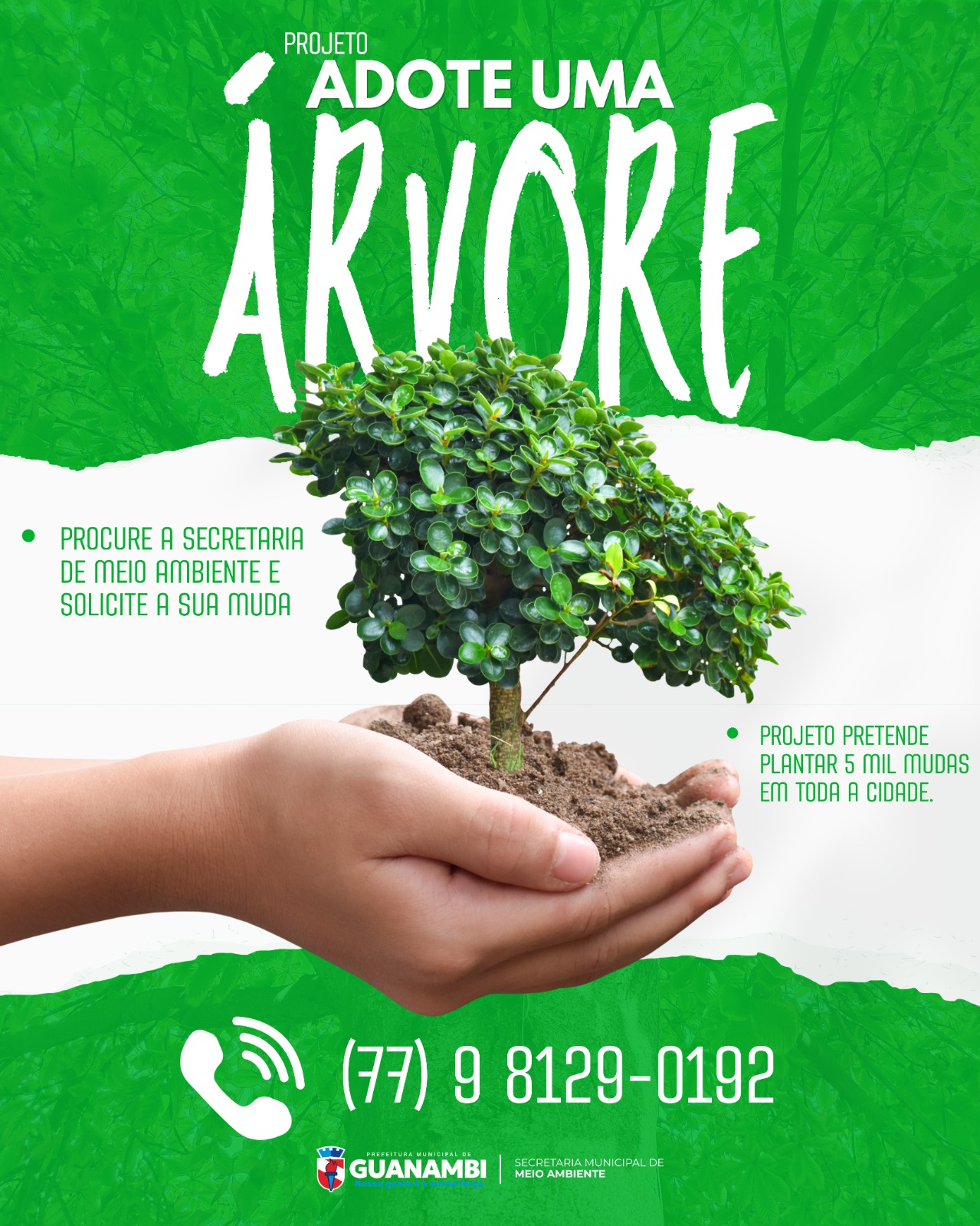 Adote Uma Árvore: Secretaria de Meio Ambiente de Guanambi lançará projeto para arborização de calçadas