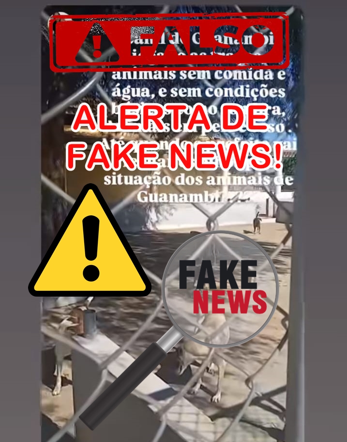 Alerta de Fake News contra o Centro de Controle de Natalidade Canina